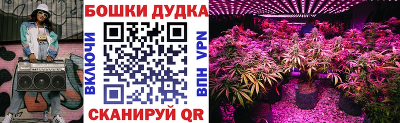 МАРИХУАНА Amnesia  что такое   Куровское 